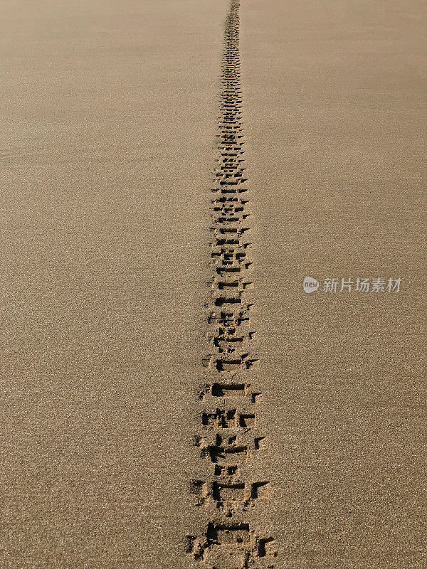 沙地上的摩托车/摩托车轮胎轨迹